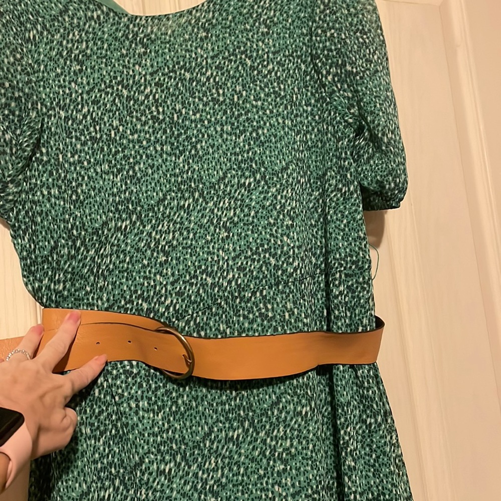 Zara dress
